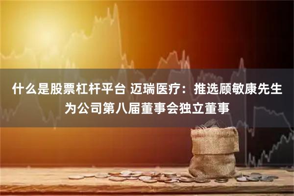 什么是股票杠杆平台 迈瑞医疗：推选顾敏康先生为公司第八届董事会独立董事